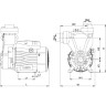Насос вихревой LEO APSM110